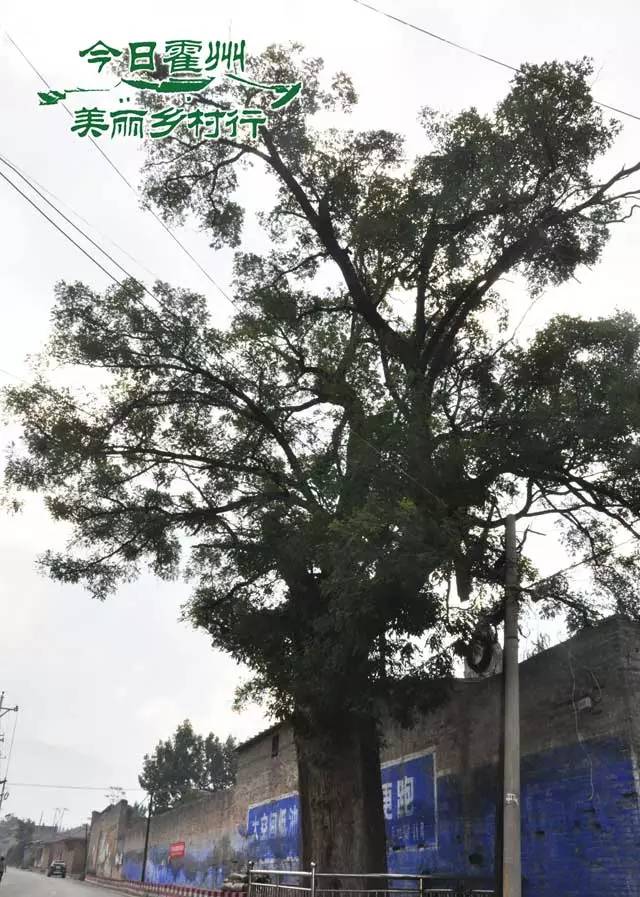 南杜11.jpg