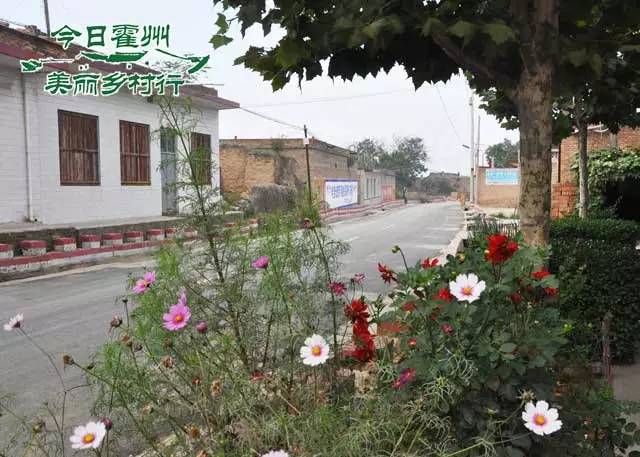 南杜4.jpg