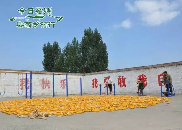 南杜3.jpg